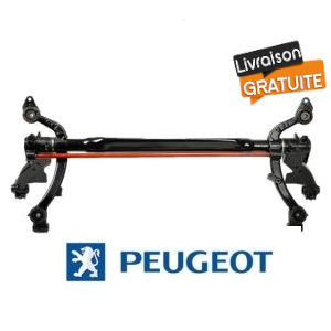 Train arrière Peugeot 206 DISQUES + ABS